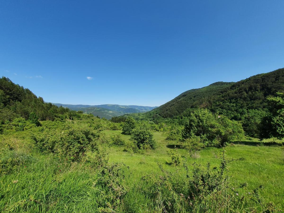 Zavojsko Jezero Pirot - Smestaj Manic Konuk evi Gostusa Dış mekan fotoğraf