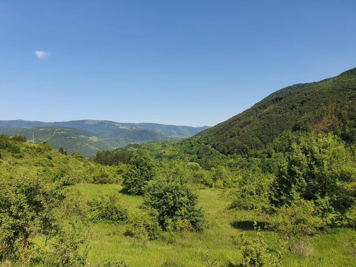Zavojsko Jezero Pirot - Smestaj Manic Konuk evi Gostusa Dış mekan fotoğraf