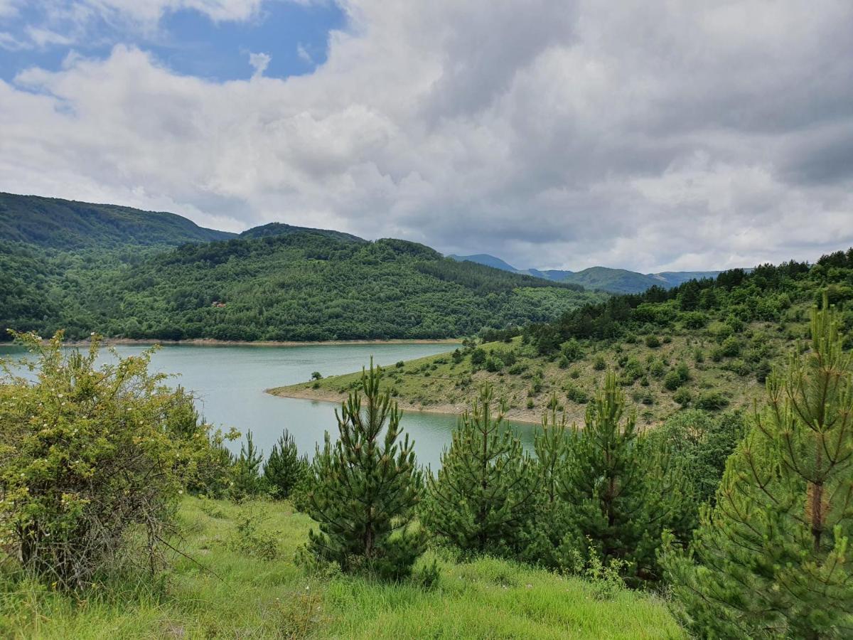 Zavojsko Jezero Pirot - Smestaj Manic Konuk evi Gostusa Dış mekan fotoğraf