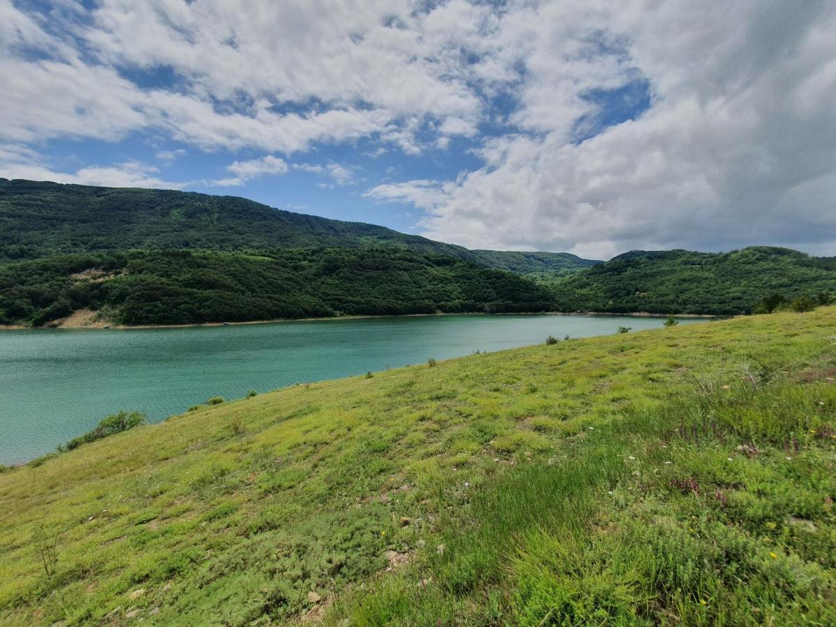 Zavojsko Jezero Pirot - Smestaj Manic Konuk evi Gostusa Dış mekan fotoğraf
