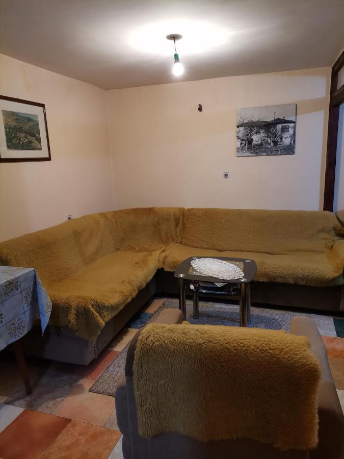 Zavojsko Jezero Pirot - Smestaj Manic Konuk evi Gostusa Dış mekan fotoğraf