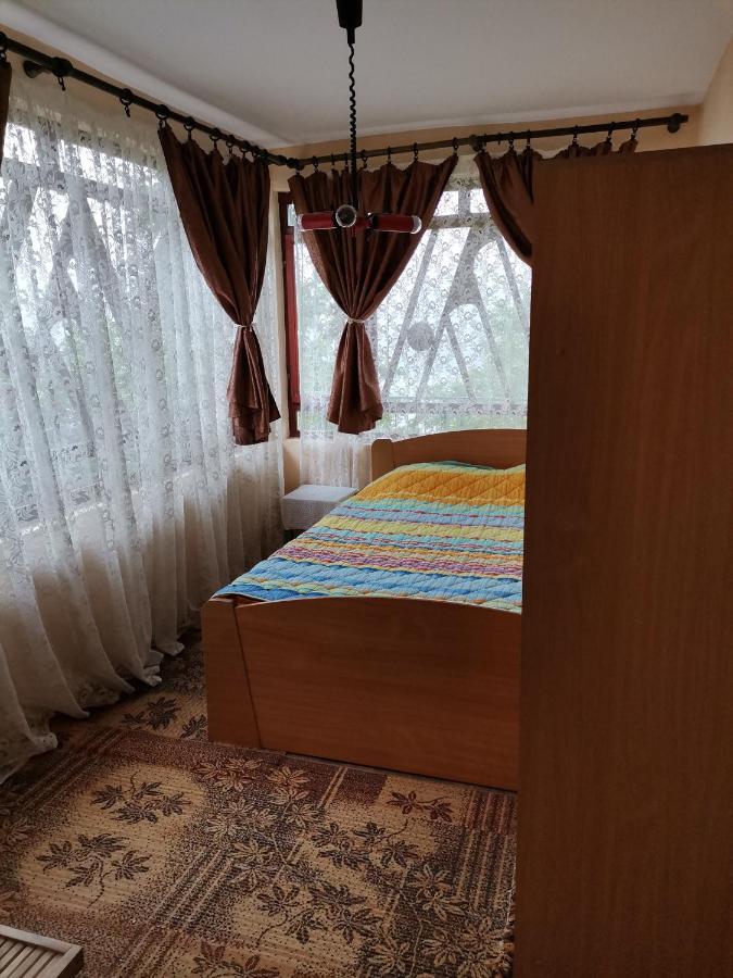 Zavojsko Jezero Pirot - Smestaj Manic Konuk evi Gostusa Dış mekan fotoğraf