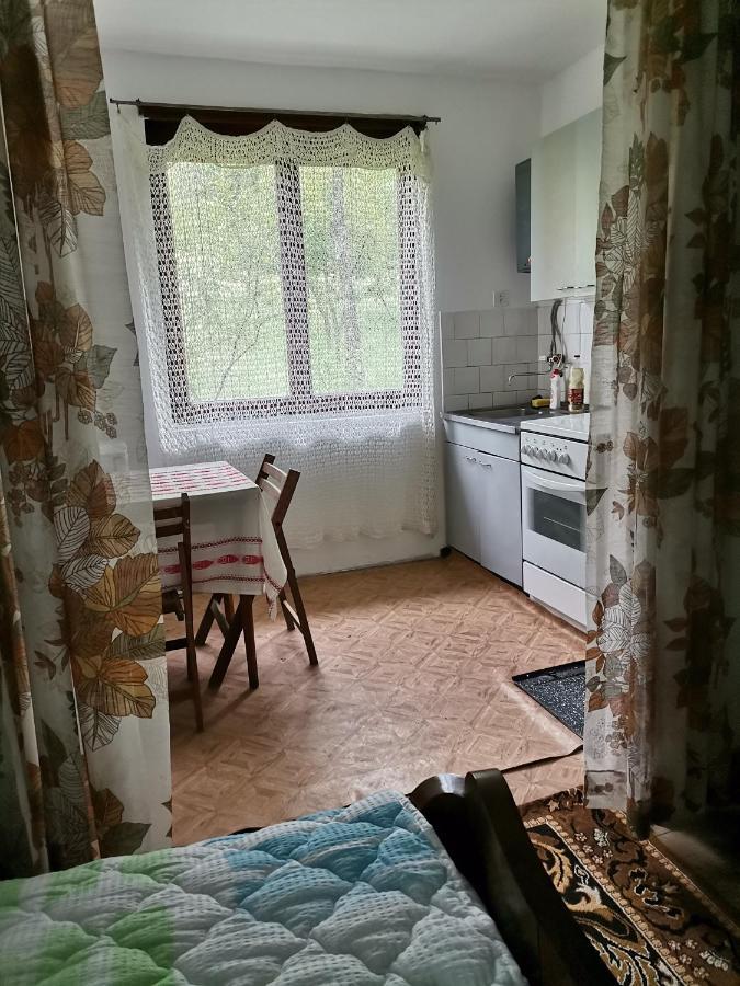 Zavojsko Jezero Pirot - Smestaj Manic Konuk evi Gostusa Dış mekan fotoğraf