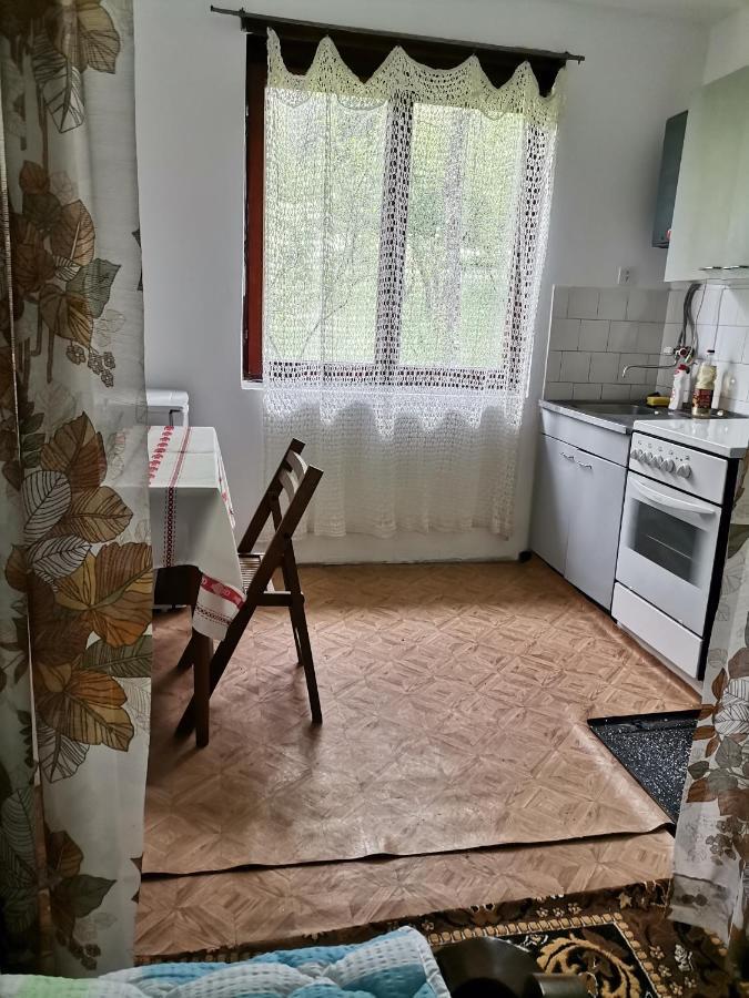 Zavojsko Jezero Pirot - Smestaj Manic Konuk evi Gostusa Dış mekan fotoğraf