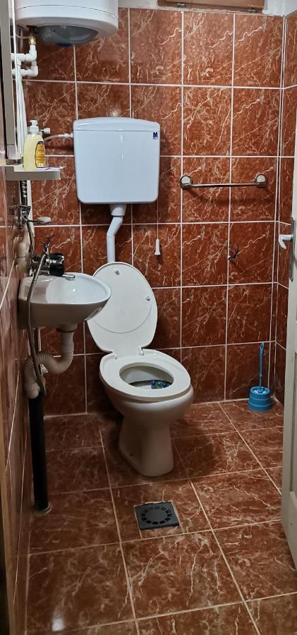 Zavojsko Jezero Pirot - Smestaj Manic Konuk evi Gostusa Dış mekan fotoğraf