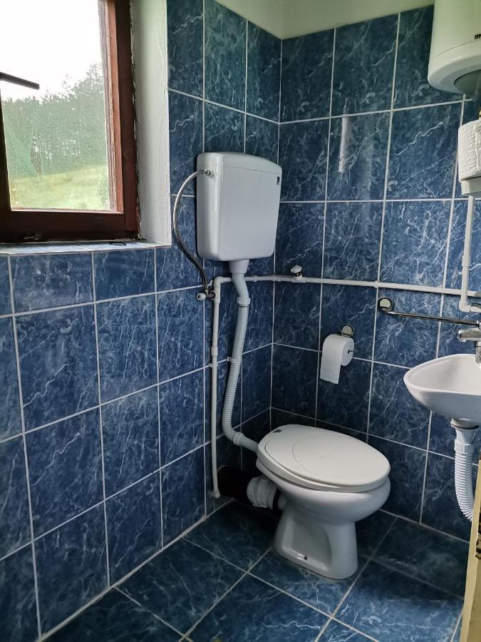 Zavojsko Jezero Pirot - Smestaj Manic Konuk evi Gostusa Dış mekan fotoğraf
