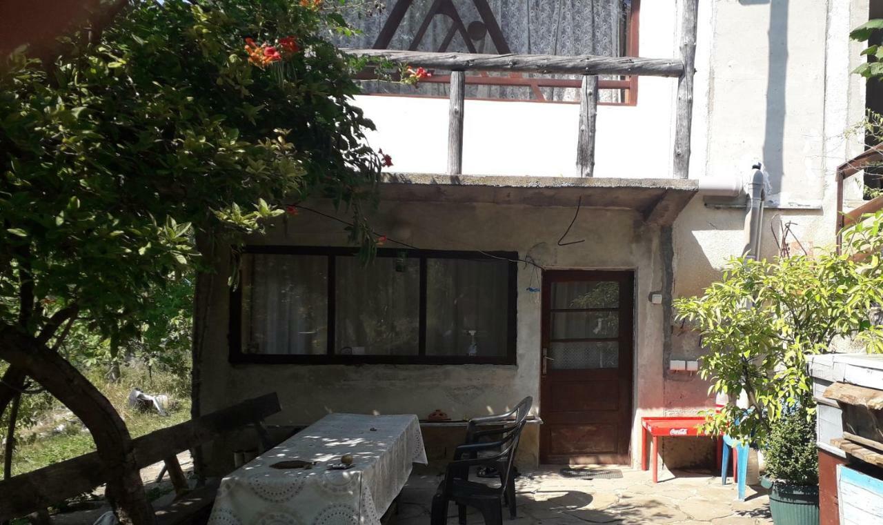 Zavojsko Jezero Pirot - Smestaj Manic Konuk evi Gostusa Dış mekan fotoğraf